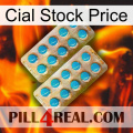 Cial Stock Price new08